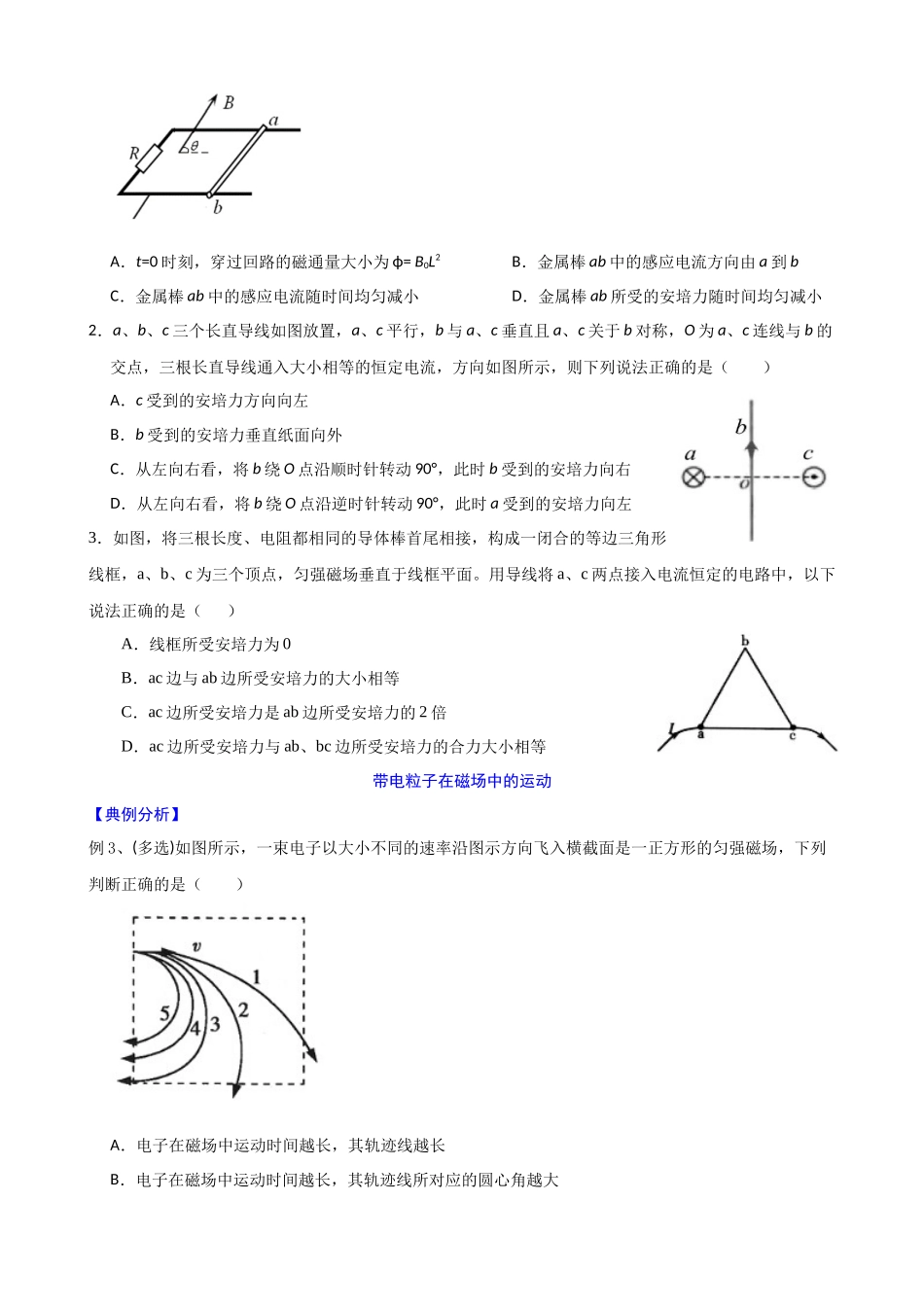 高三物理夯实基础专题训练19：磁场.docx_第2页
