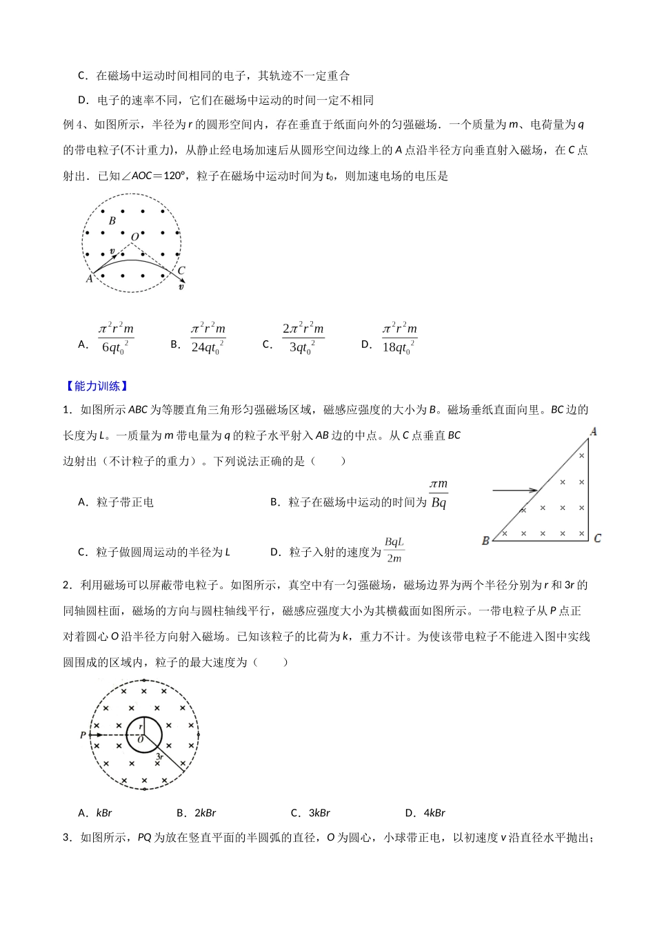 高三物理夯实基础专题训练19：磁场.docx_第3页