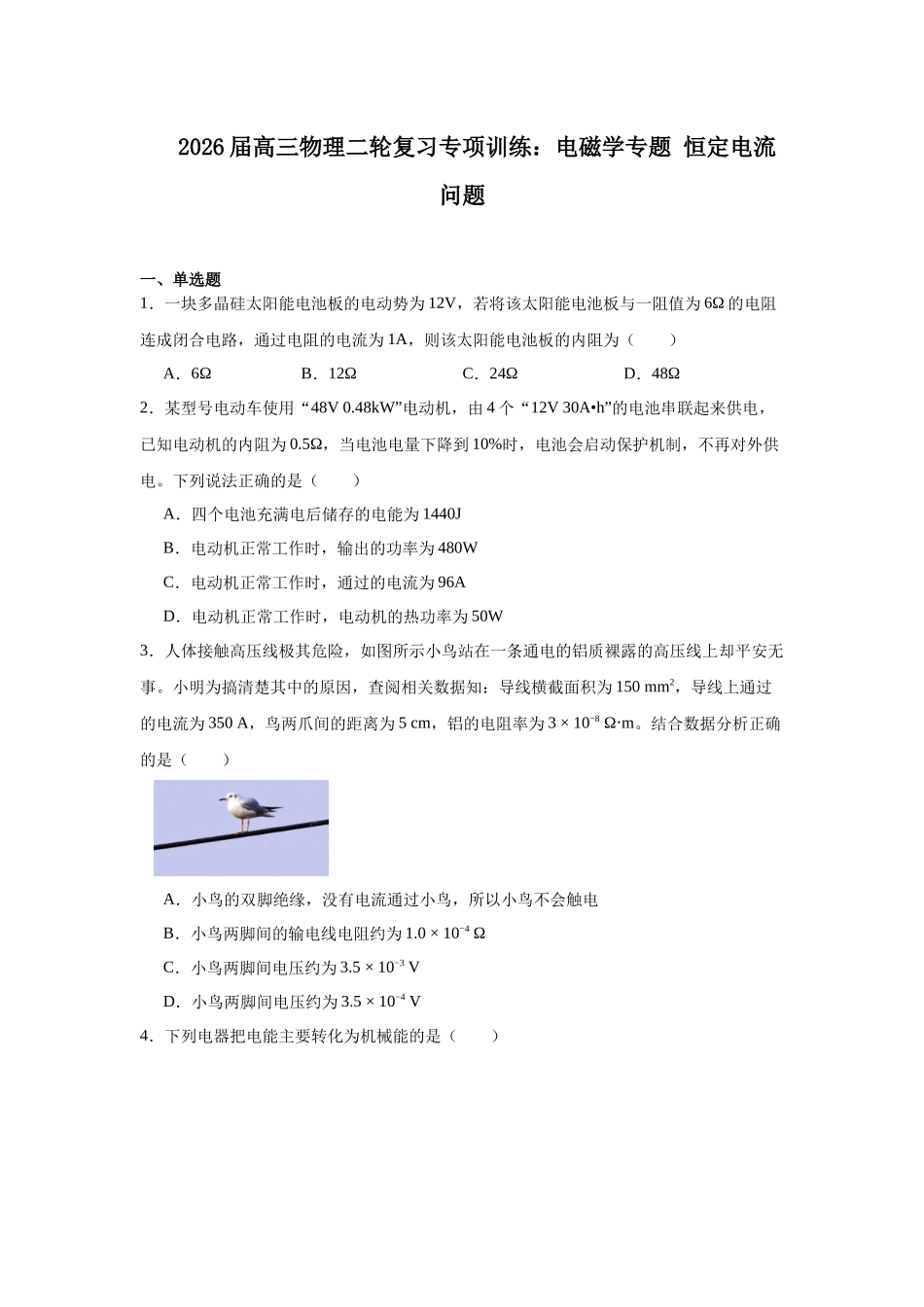 物理二轮复习专项训练：电磁学专题 恒定电流问题.docx_第1页