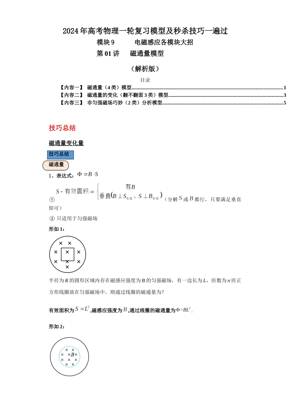 第01讲 磁通量模型(解析版).docx_第1页