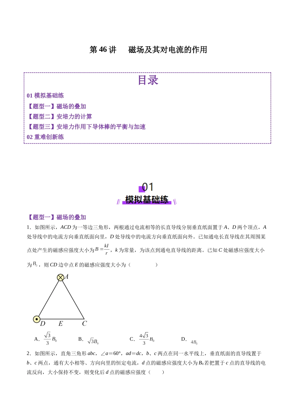第46讲 磁场及其对电流的作用(练习)(学生版).docx_第1页