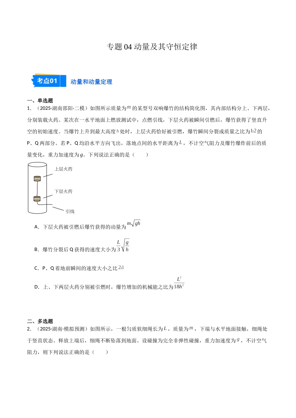 专题04 动量及其守恒定律(2大考点)(学生版).docx_第1页