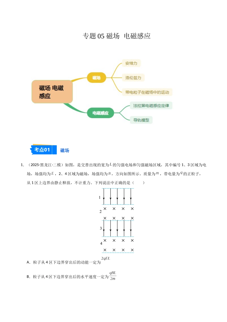 专题05 磁场 电磁感应(黑吉辽蒙)(学生版).docx_第1页