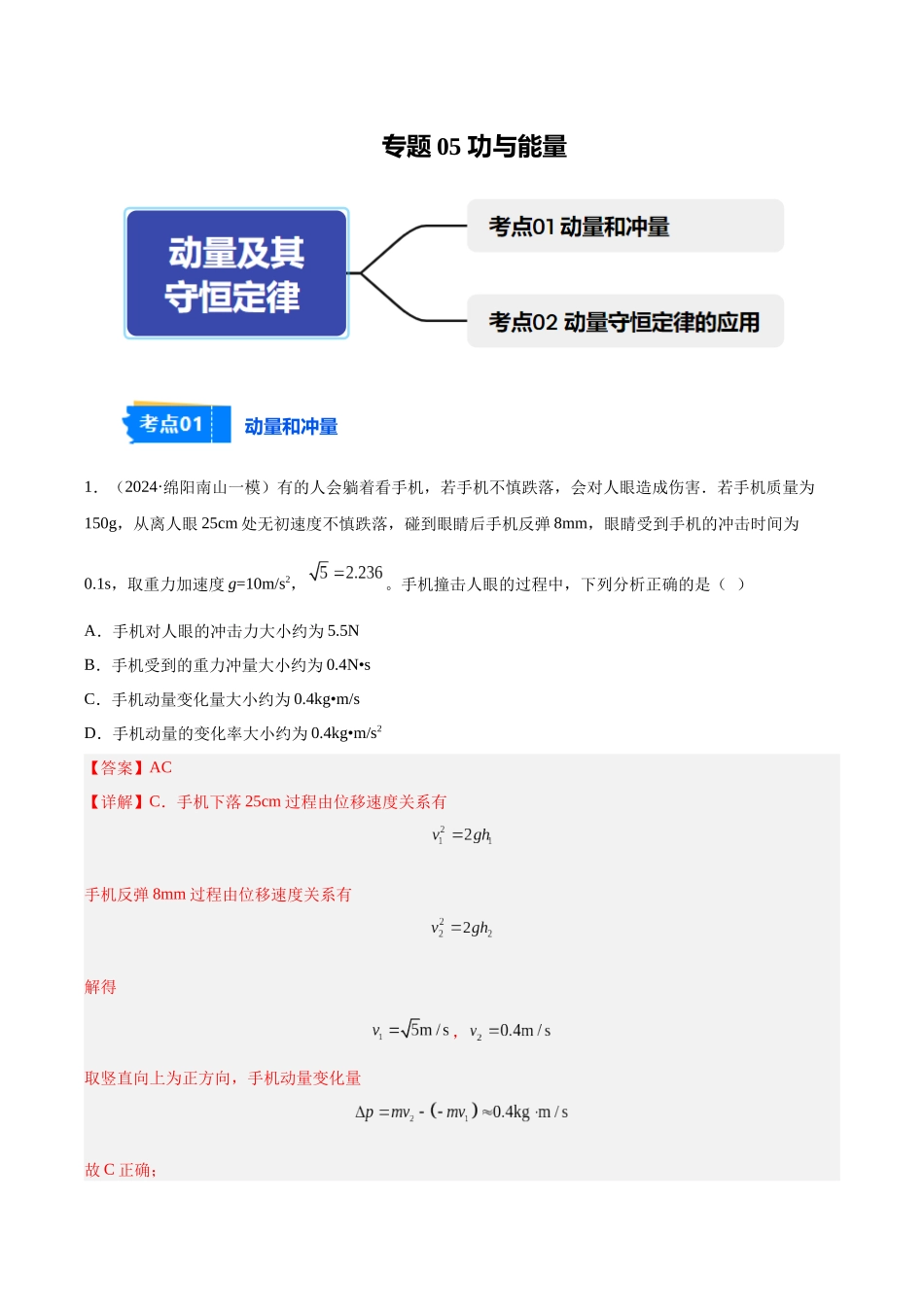 专题06 动量及其守恒定律（教师版）.docx_第1页