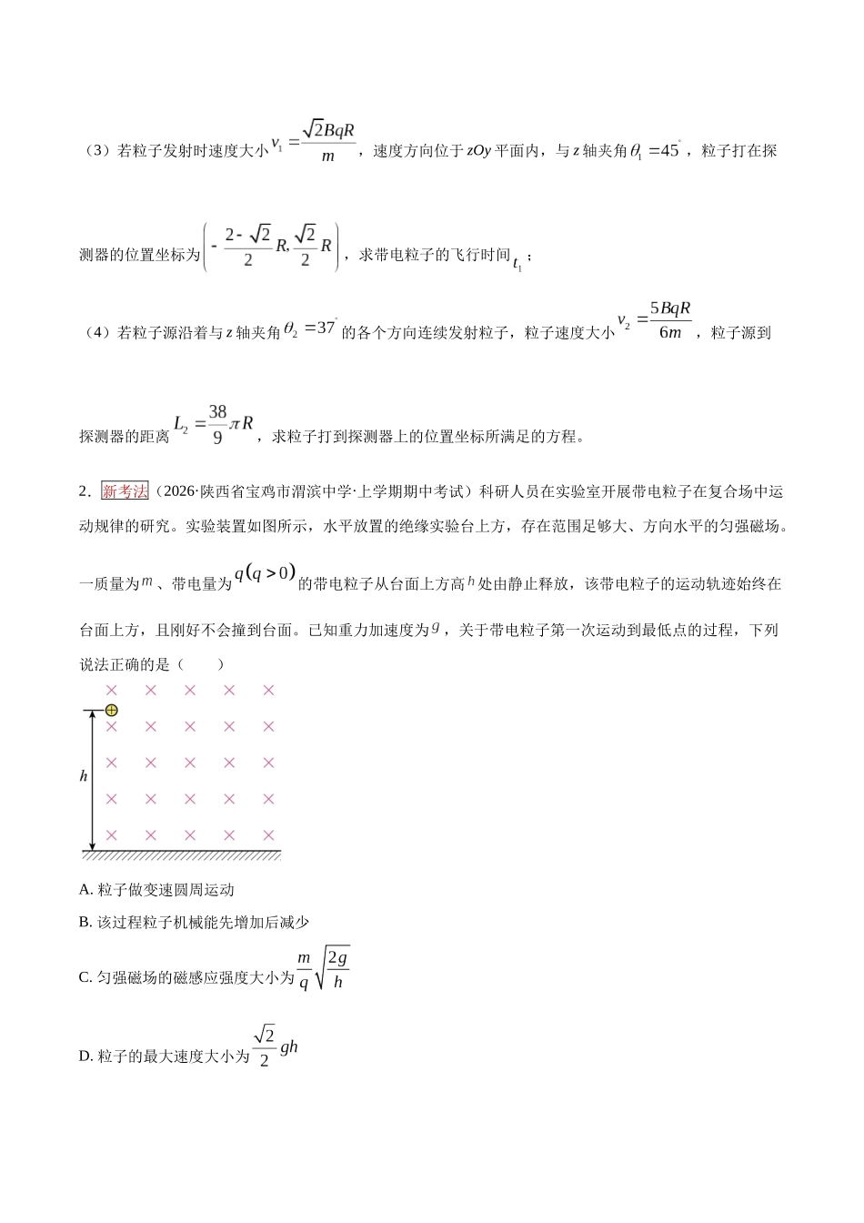 专题09  带电粒子在磁场及复合场中的运动（培优专练）（全国通用）（学生版）.docx_第2页
