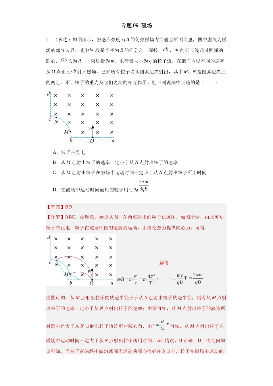 专题09磁场(解析版).docx_第1页