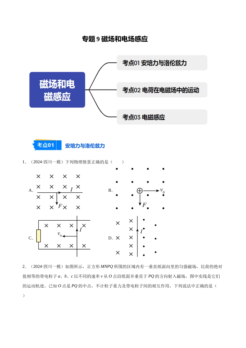 专题9 磁场和电磁感应（学生版）.docx_第1页