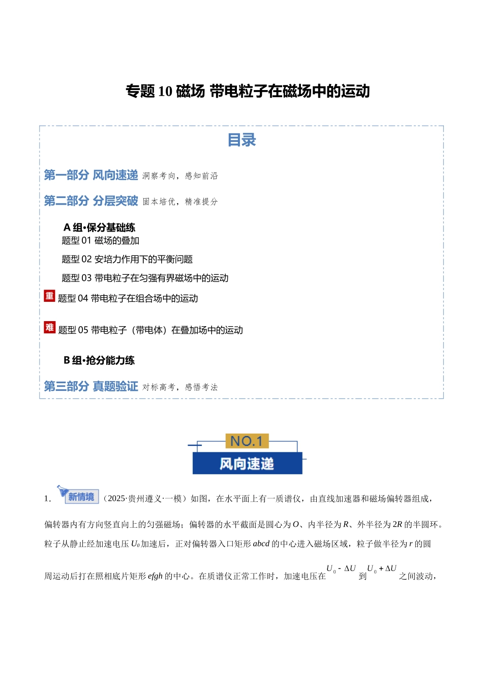 专题10 磁场 带电粒子在磁场中的运动（专题专练）（全国通用）（学生版）.docx_第1页