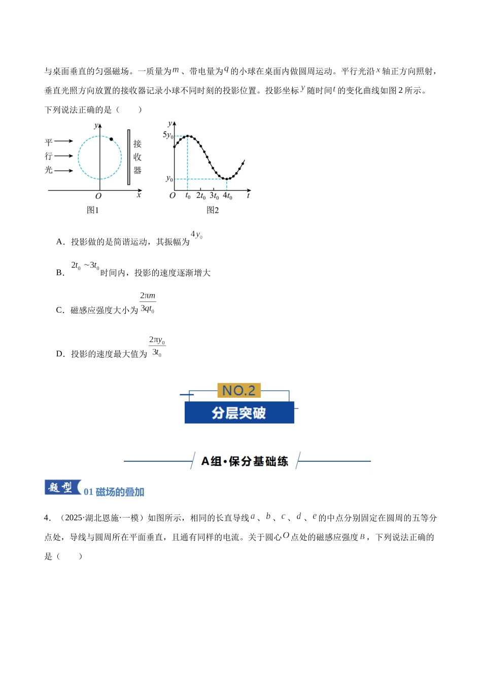 专题10 磁场 带电粒子在磁场中的运动（专题专练）（全国通用）（学生版）.docx_第3页