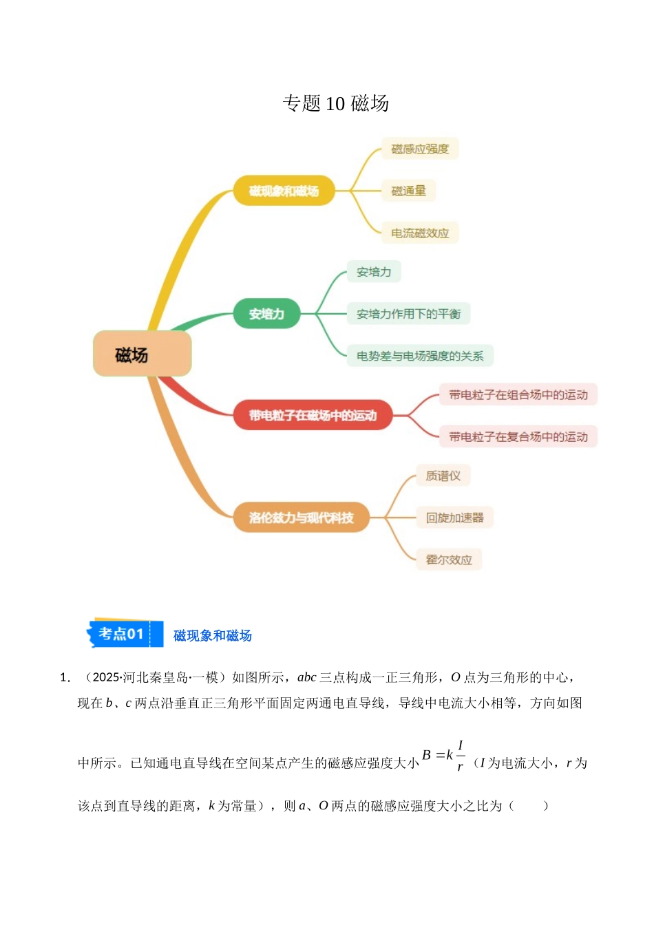 专题10 磁场（新高考通用）（学生版）.docx_第1页