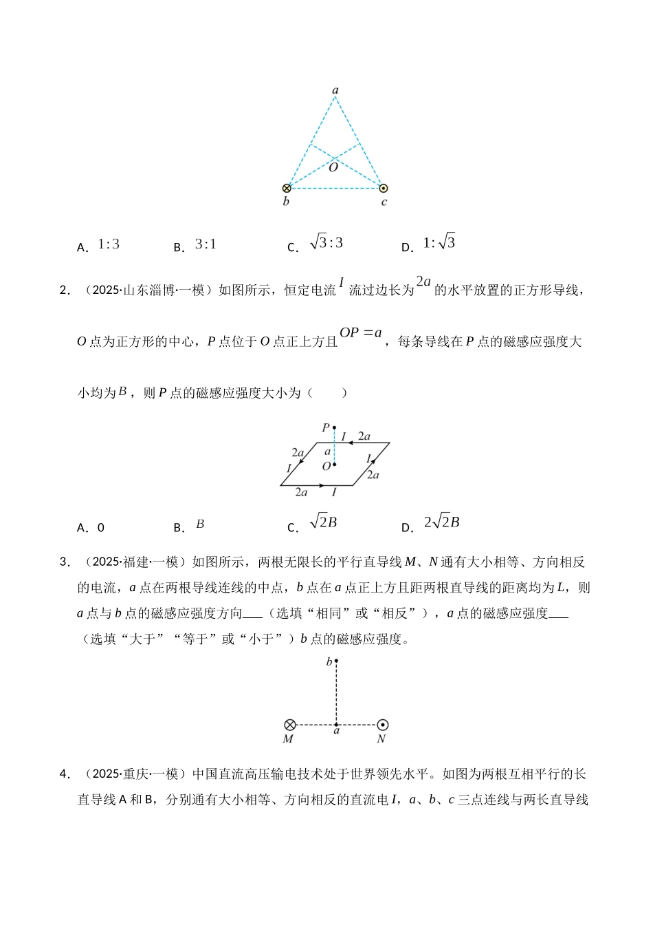 专题10 磁场（新高考通用）（学生版）.docx_第2页