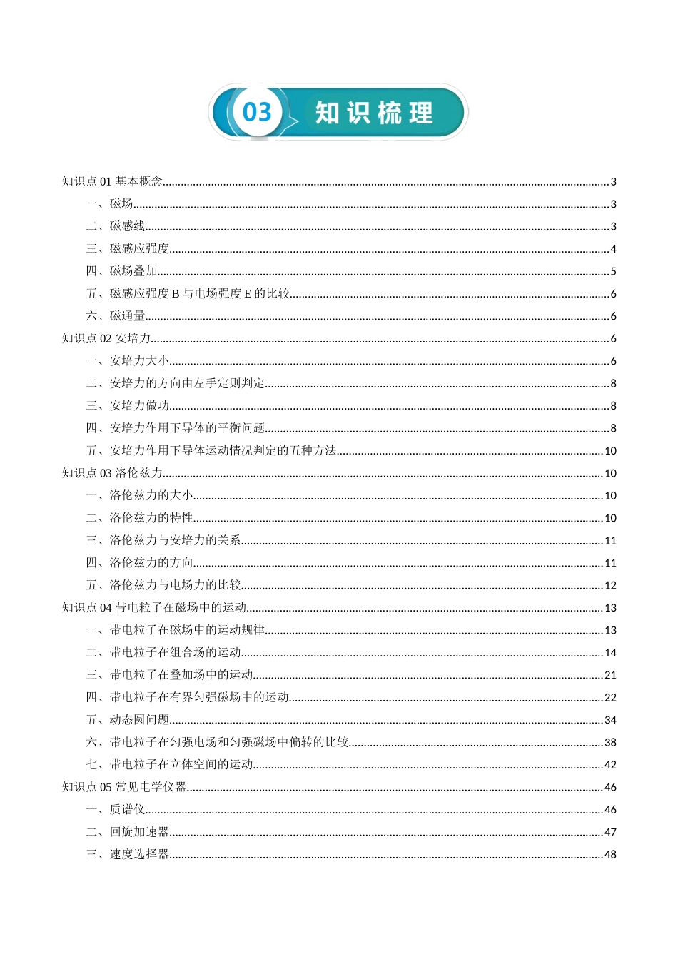 专题11 磁场-2024年高考物理一轮复习知识清单(全国通用).docx_第2页