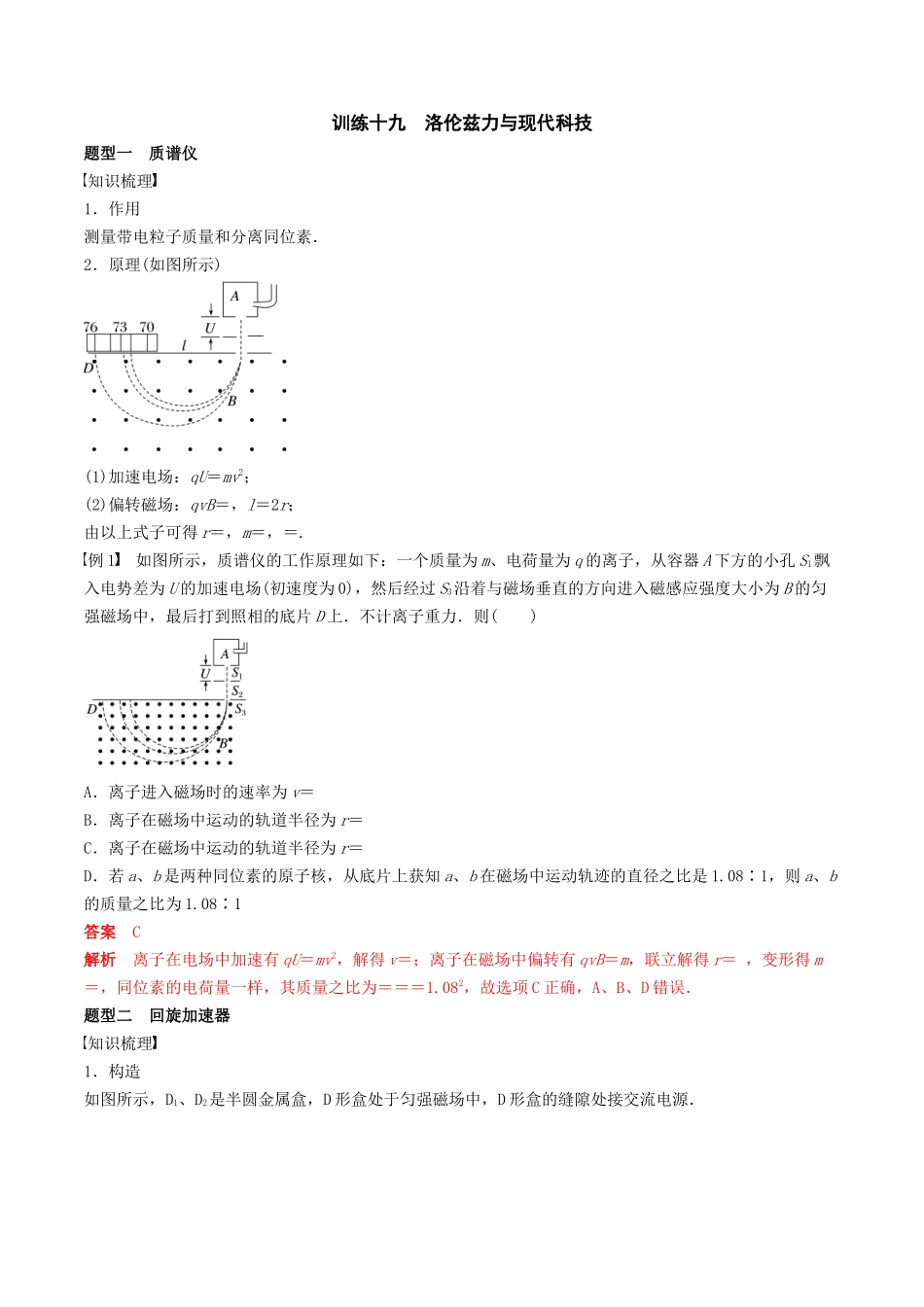 训练十九 洛伦兹力与现代科技-备战高考物理一轮复习专题复习与训练(解析版).docx_第1页
