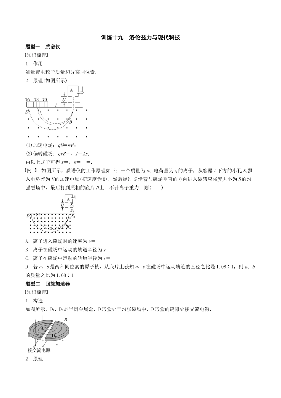 训练十九 洛伦兹力与现代科技-备战高考物理一轮复习专题复习与训练(原卷版).docx_第1页