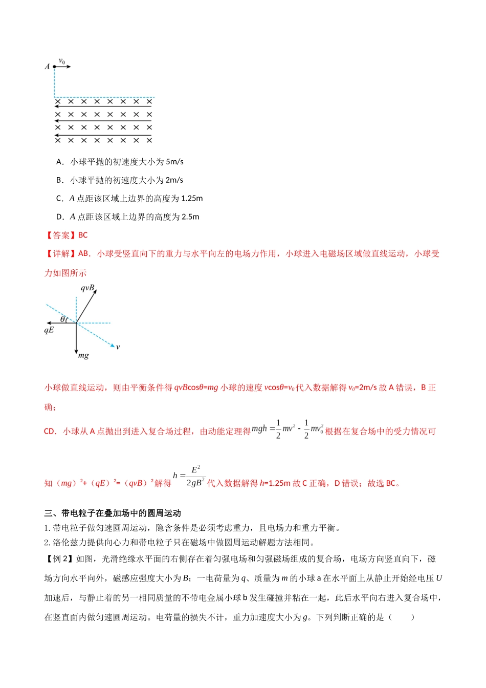 专题61 带电粒子在叠加场中的运动(解析版).docx_第2页