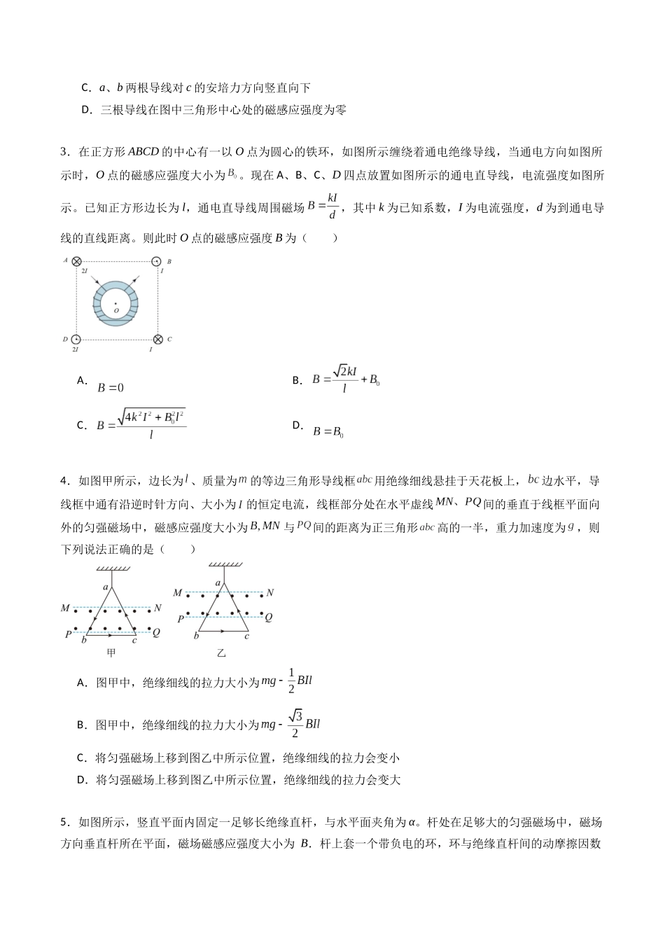 专题十七 《磁场》信息优化卷(能力B)(原卷版).docx_第2页