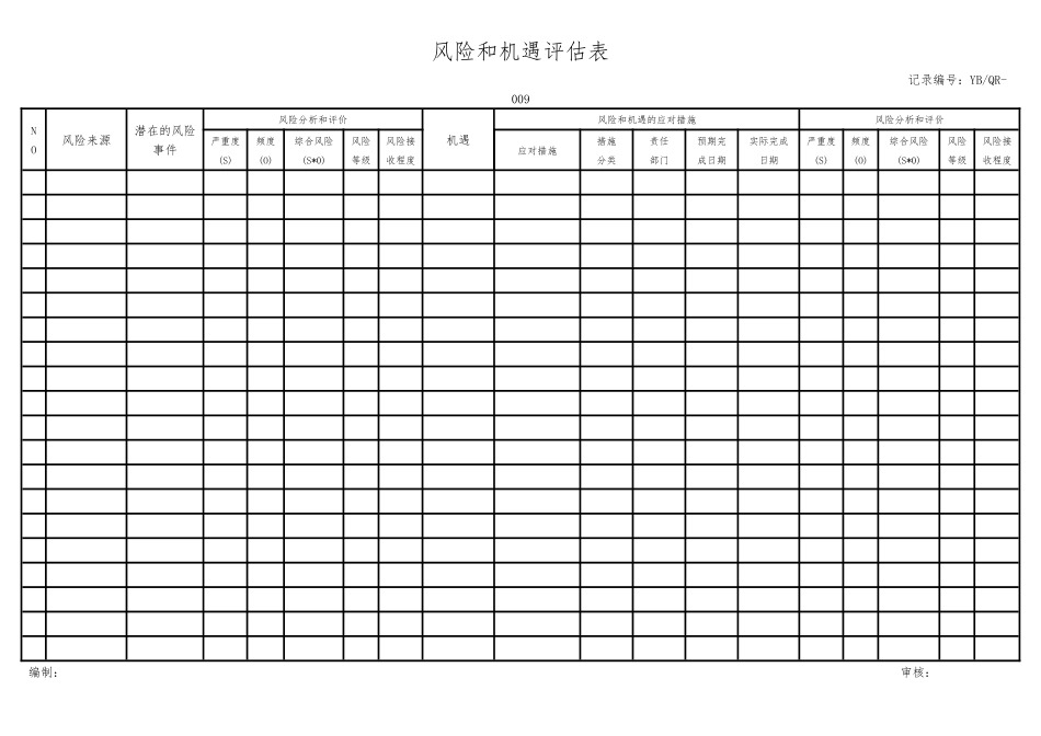 风险和机遇评估分析表单.docx_第1页