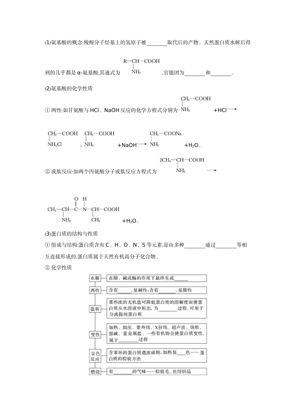 06第44讲生物大分子合成高分子【正文】听课手册.docx_第3页