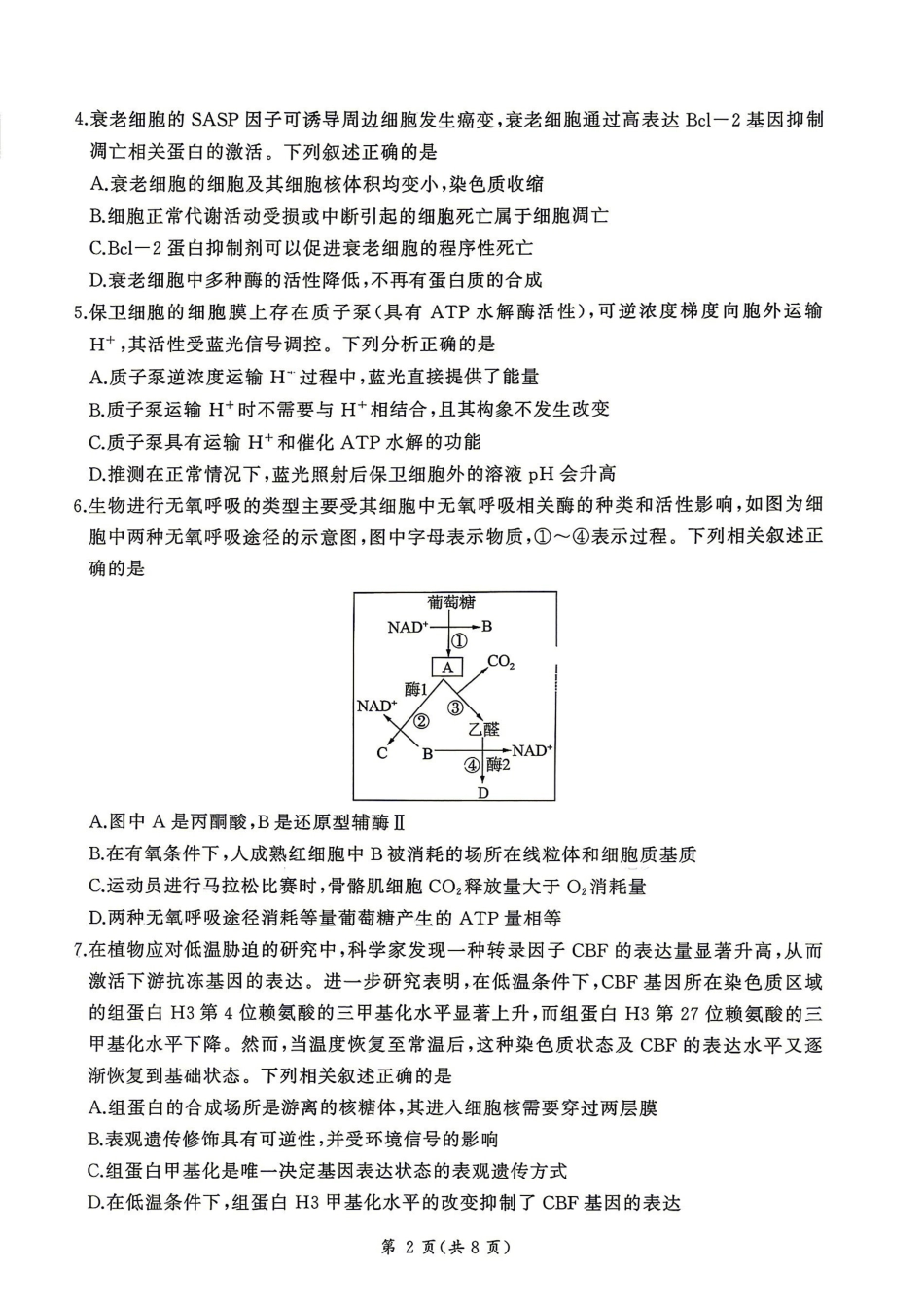 百师联盟2026届高三4月22日适应性模拟考试_生物学_副本.pdf_第2页