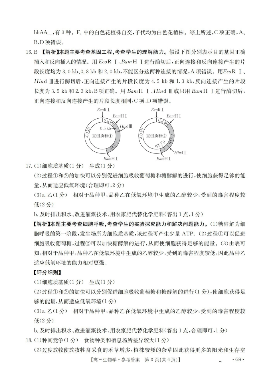 甘肃2026届高三下学期4月百万大联考生物答案.pdf_第3页