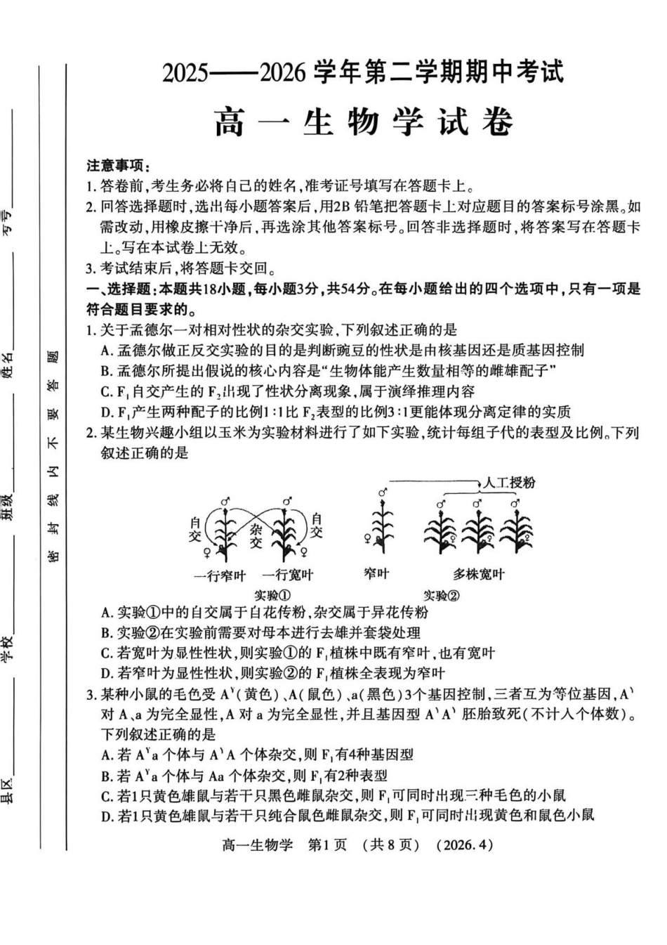 河南洛阳市2025-2026学年第二学期期中考试高一生物试卷.pdf_第1页