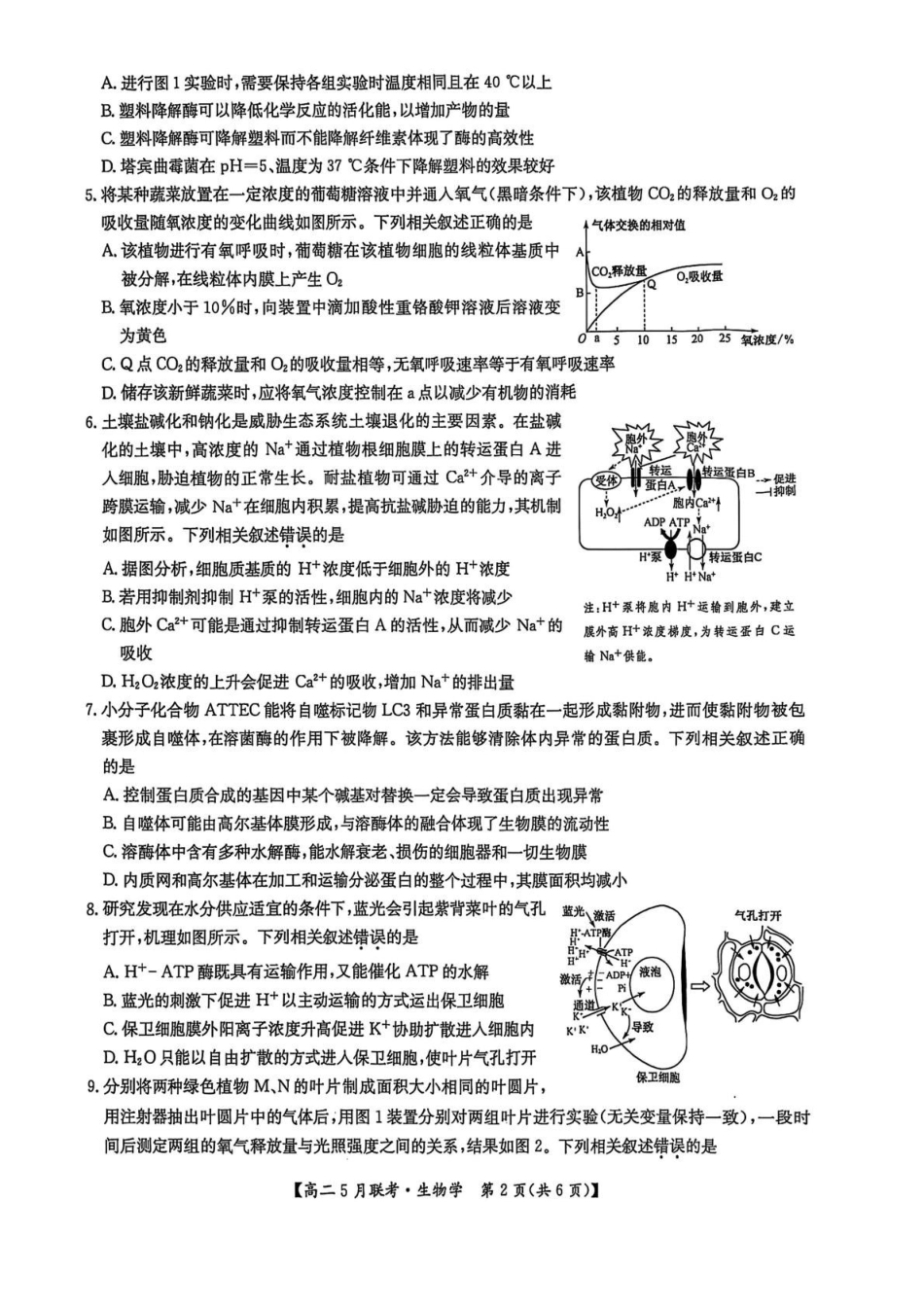 河南洛阳市强基联盟2024-2025学年高二下学期5月月考生物试题.pdf_第2页