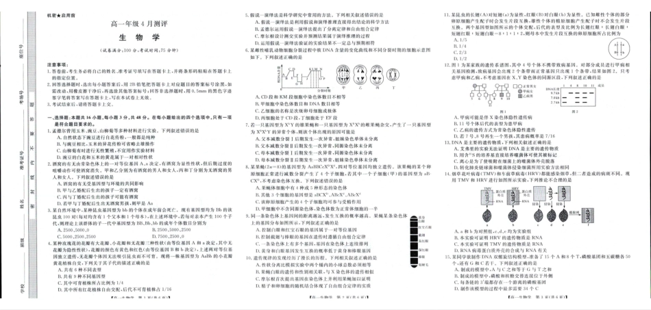 河南南阳市新未来联考2025-2026学年高一下学期4月期中测评生物试题.pdf_第1页