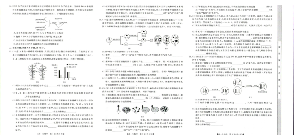 河南南阳市新未来联考2025-2026学年高一下学期4月期中测评生物试题.pdf_第2页