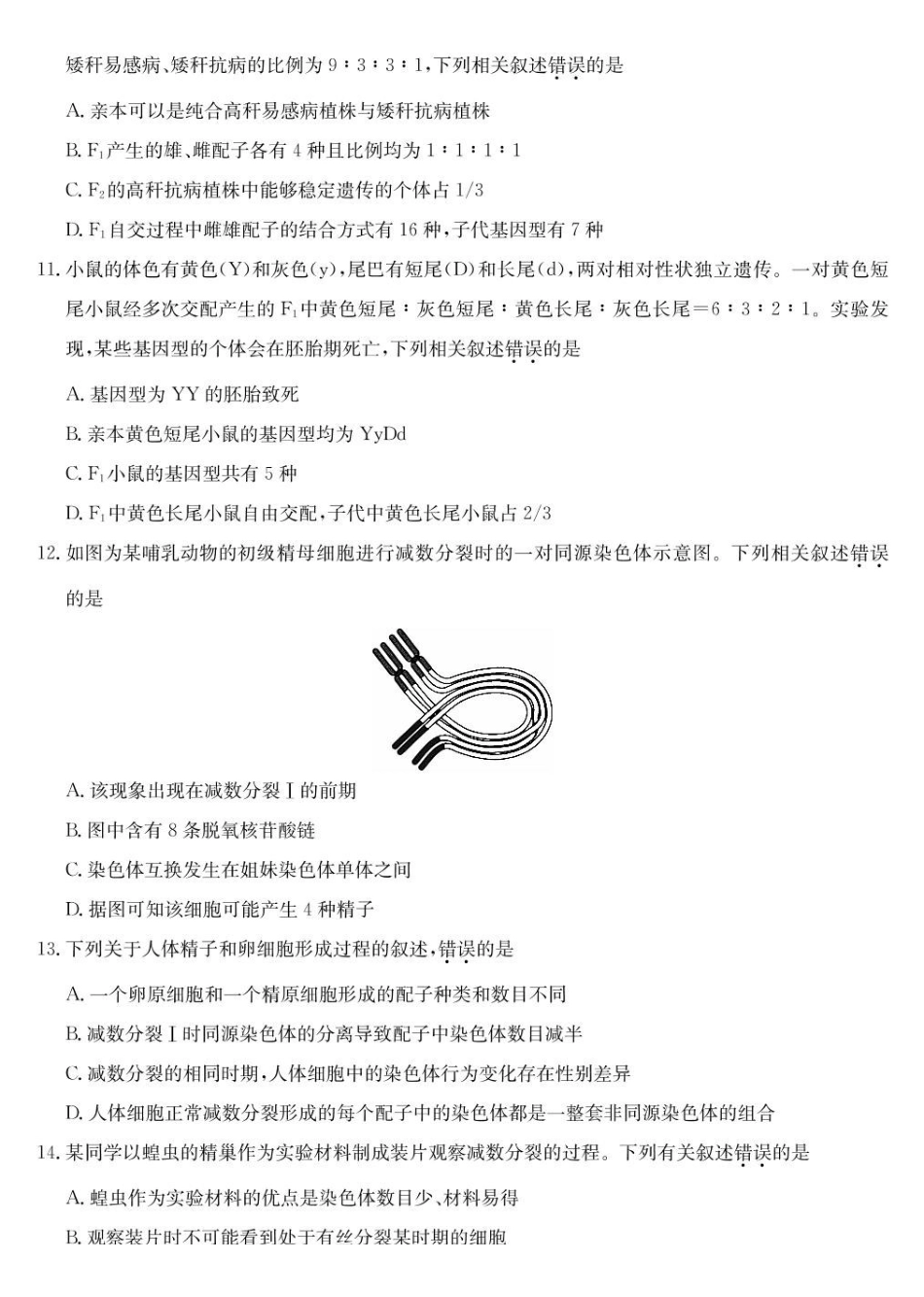 湖北宜昌市协作体2024-2025学年高一下学期期中生物试卷(有答案)_副本.pdf_第3页