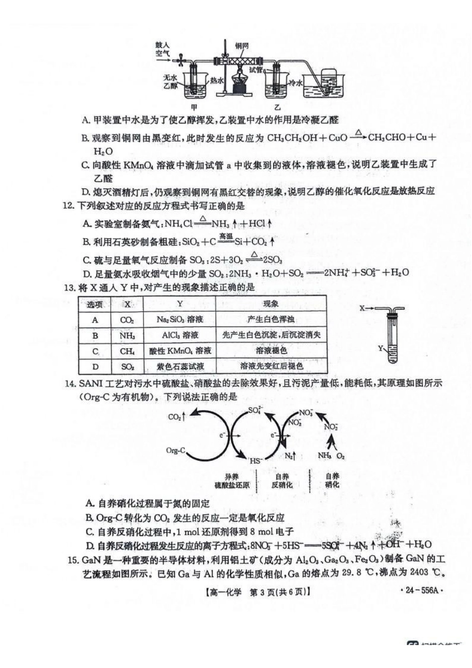 化学-辽宁金T阳2023-2024学年高一下学期联考(24-556A)_副本.pdf_第3页