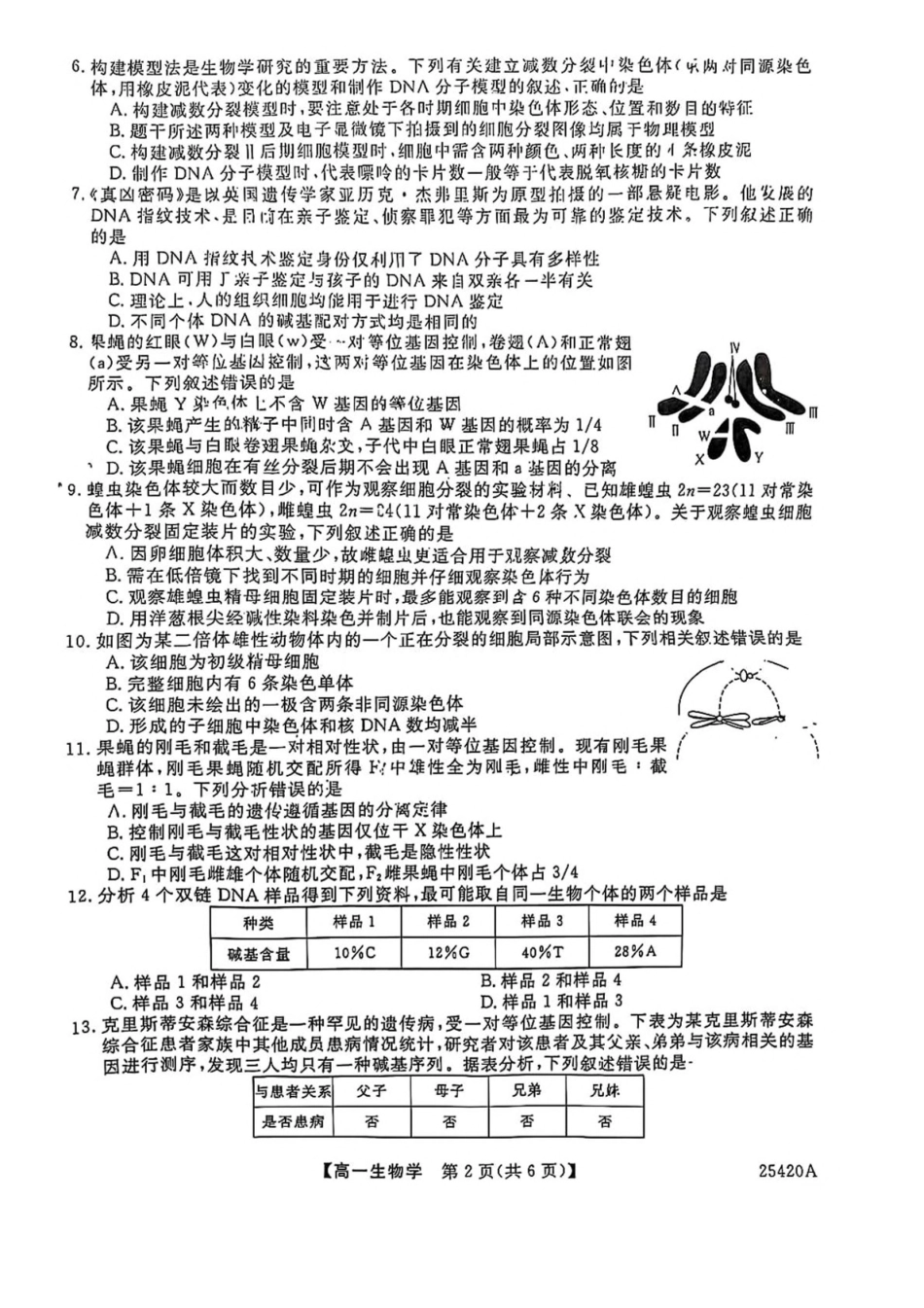 吉林松原市2024-2025学年高一下学期期中考试生物试卷（含答案）_副本.pdf_第2页