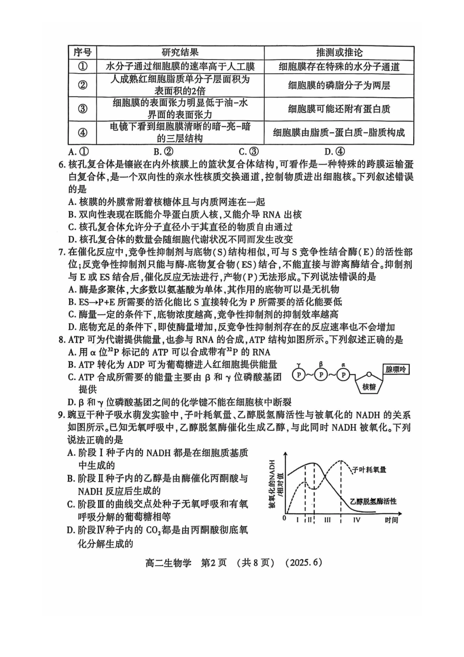 洛阳2024-2025学年6月高二质量检测-生物试卷_副本.pdf_第2页