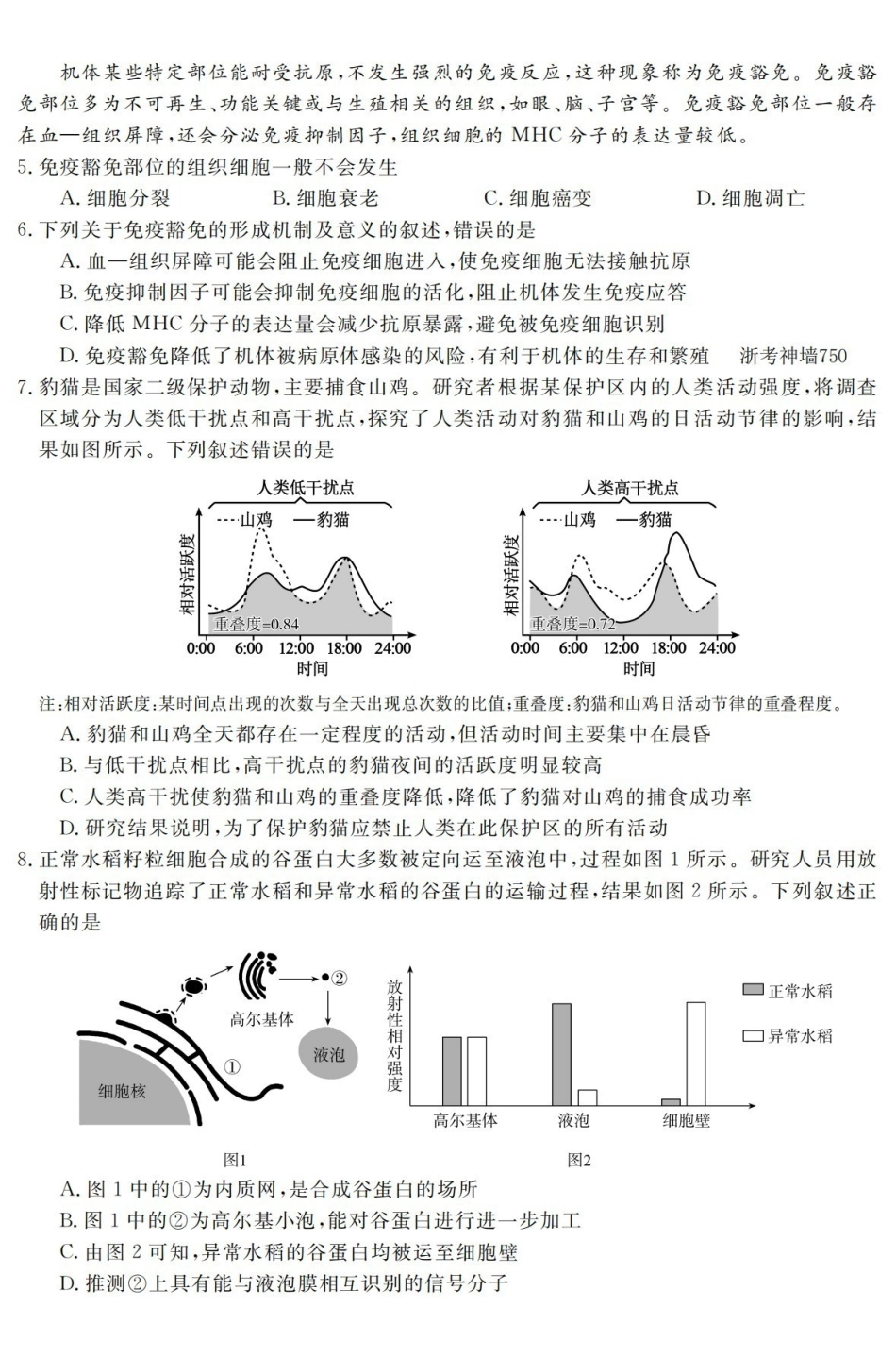 强基联盟2026年高三5月题库生物.pdf_第2页