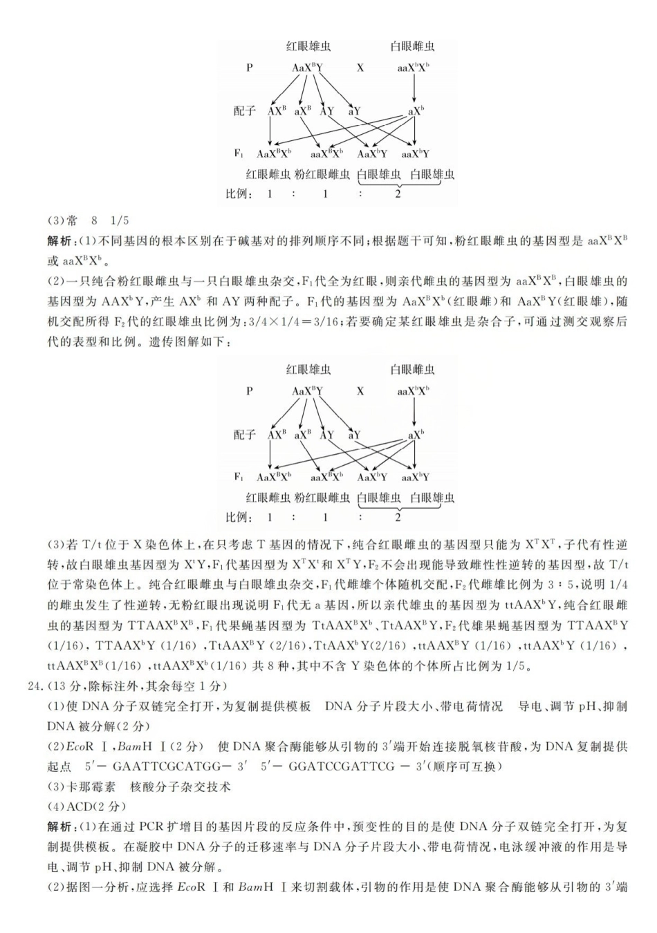 强基联盟2026年高三5月题库生物答案.pdf_第3页
