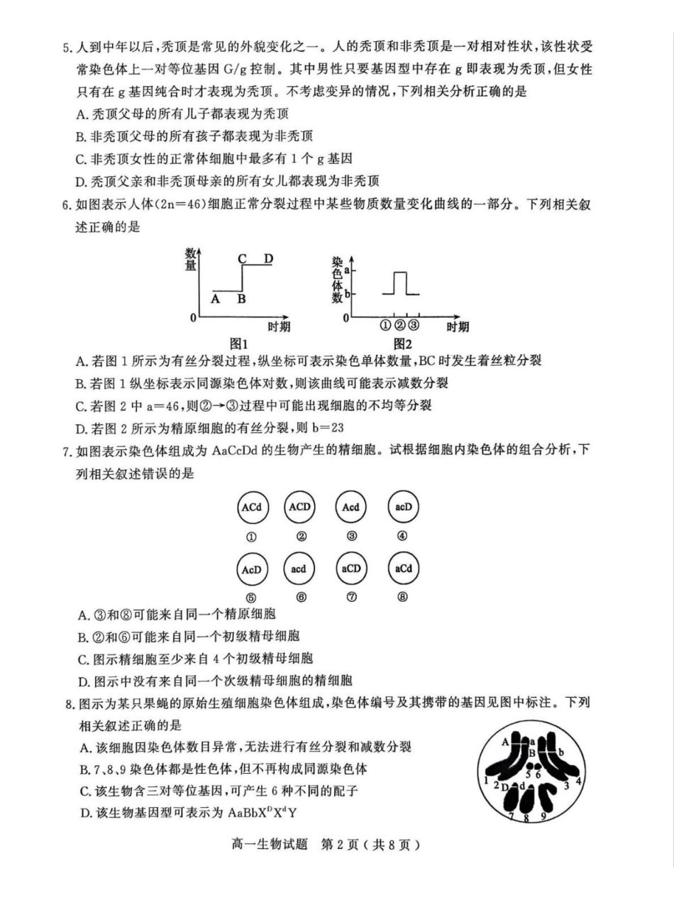 山东聊城市2024-2025学年高一下学期期中考试生物含答案_副本.pdf_第2页