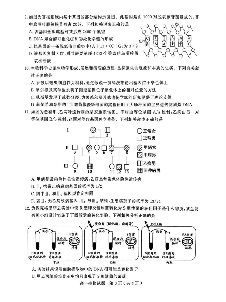 山东聊城市2024-2025学年高一下学期期中考试生物含答案_副本.pdf_第3页
