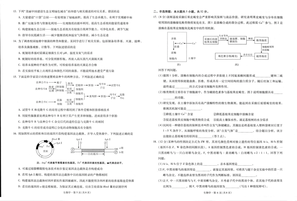 生物+昆一中2026届高三联考试卷及答案(四月).pdf_第3页