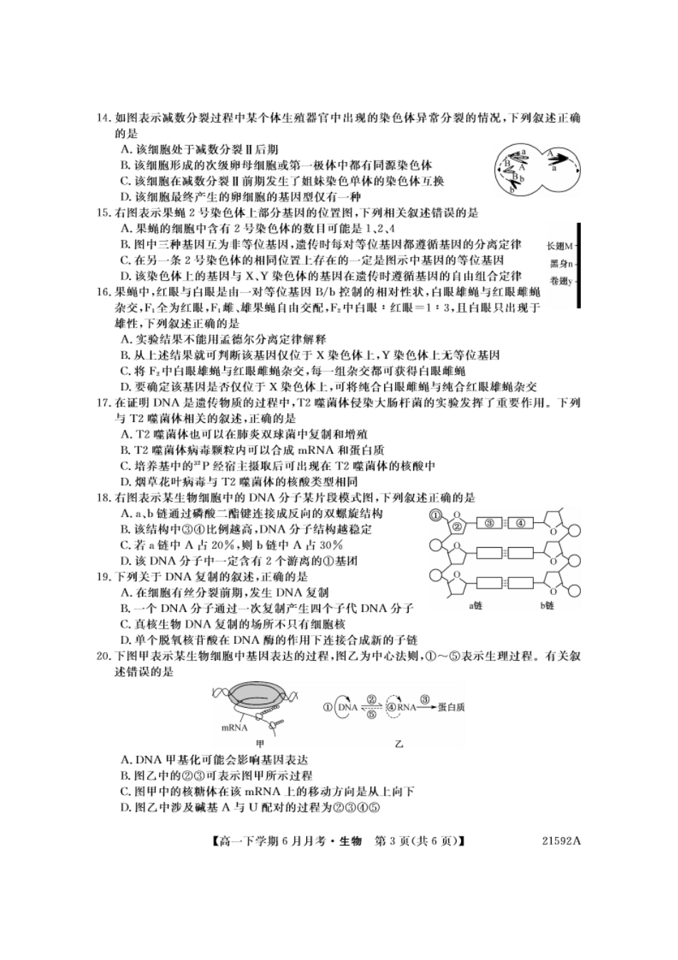 生物-金科大联考2023-2024学年高一下学期6月联考24592A_副本.pdf_第3页