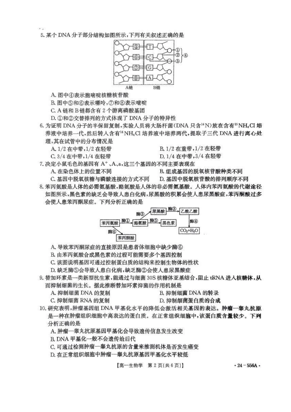 生物-辽宁金T阳2023-2024学年高一下学期联考(24-556A)_副本.pdf_第2页