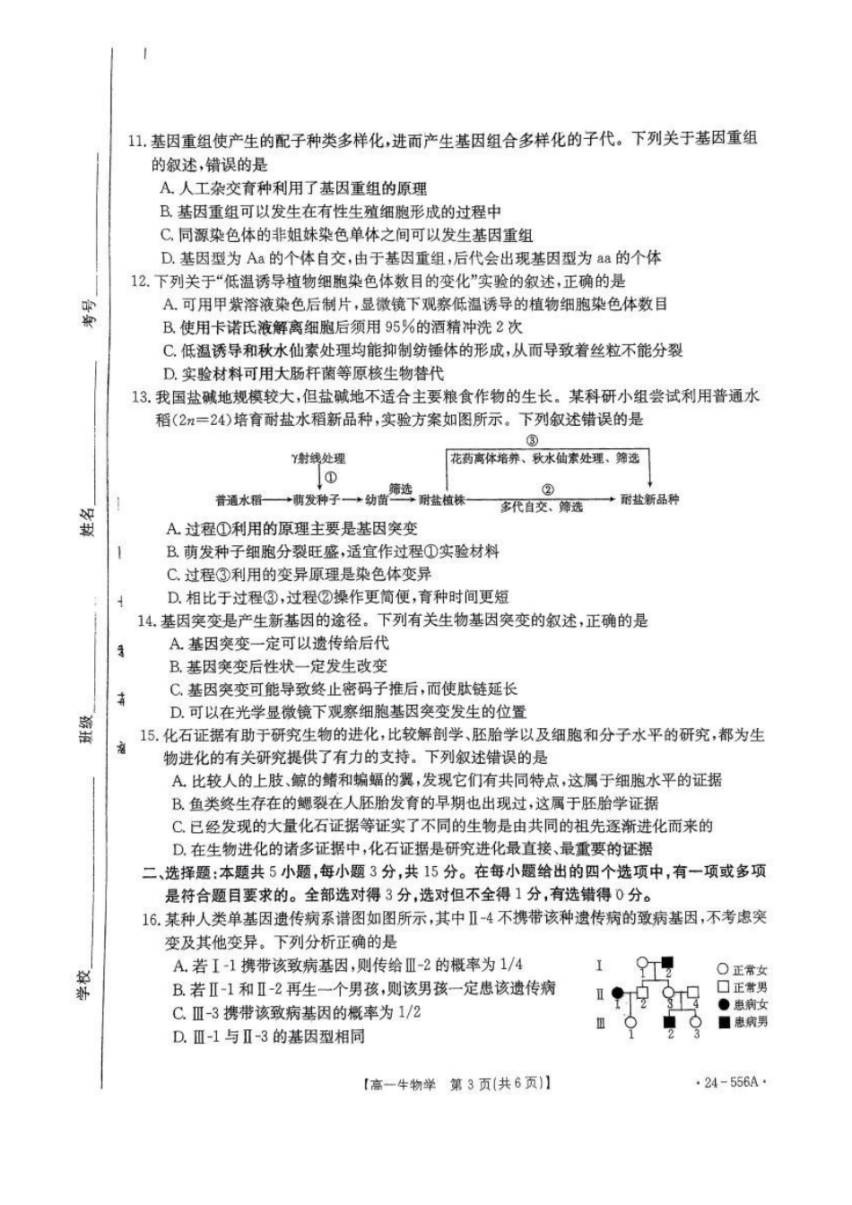 生物-辽宁金T阳2023-2024学年高一下学期联考(24-556A)_副本.pdf_第3页
