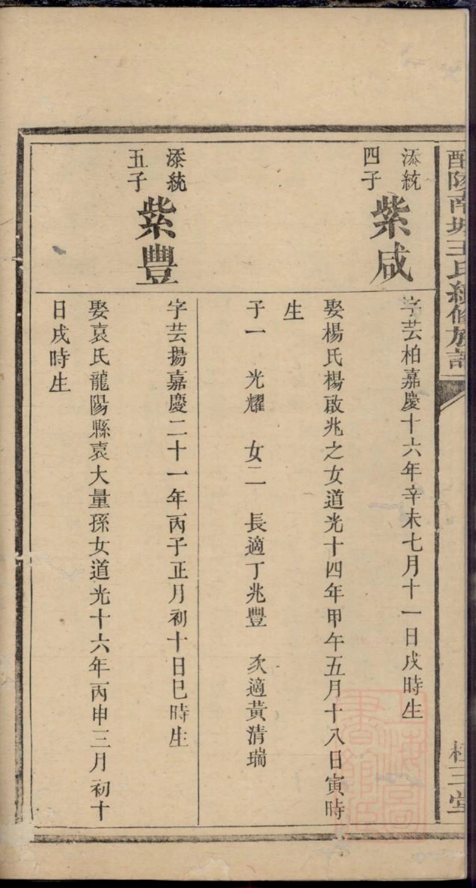 0163醴陵南城王氏续修族谱_010.pdf_第3页