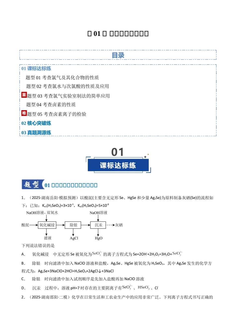 第01讲 氯及其重要化合物（专项训练）（湖南专用）（学生版）.docx_第1页