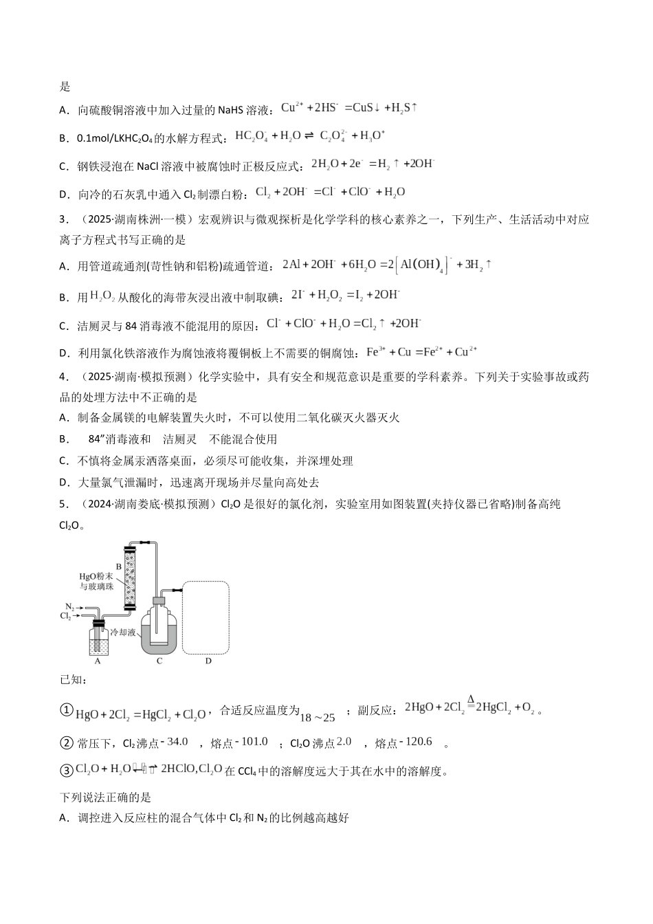 第01讲 氯及其重要化合物（专项训练）（湖南专用）（学生版）.docx_第2页