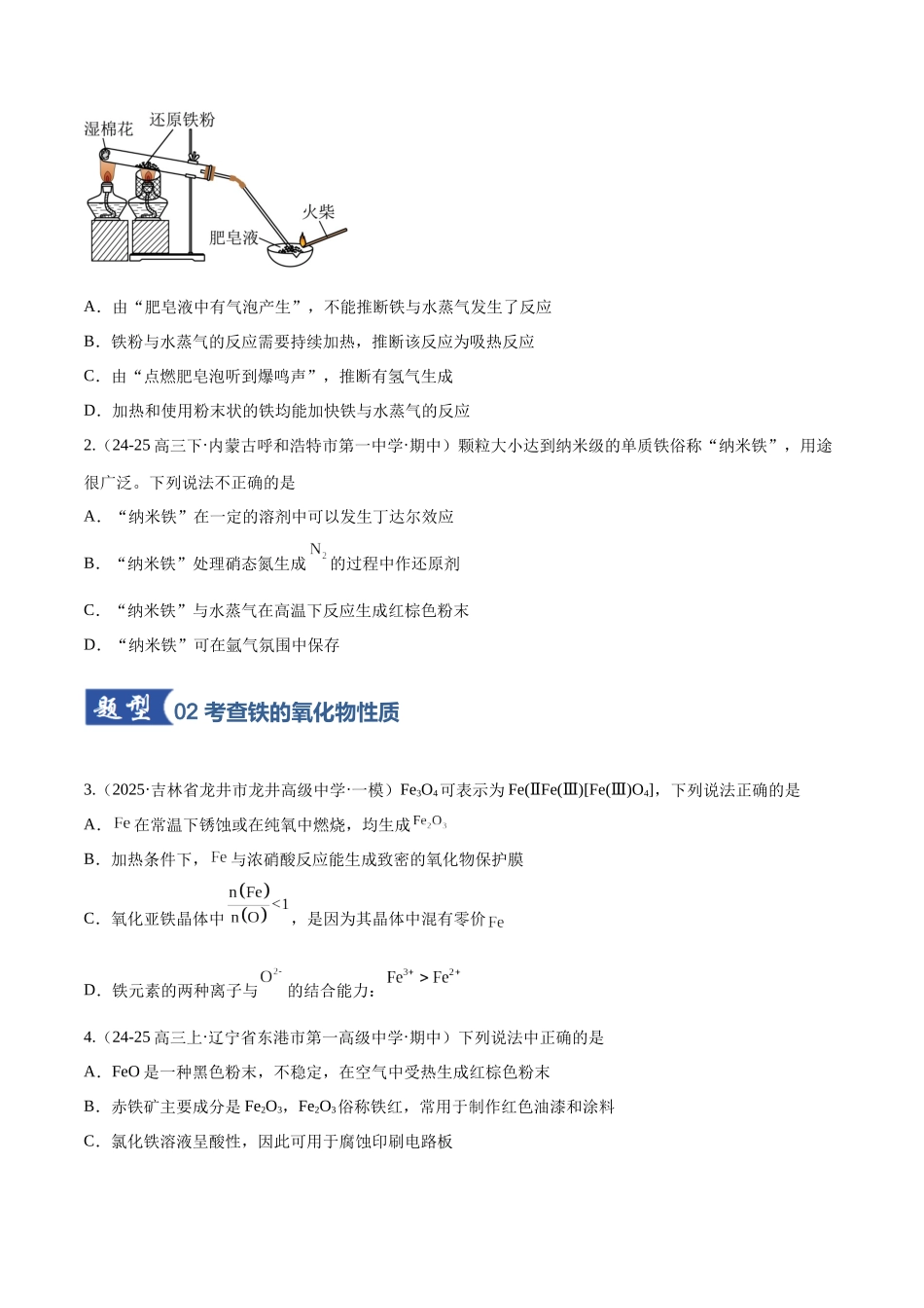第02讲 铁及其重要化合物(专项训练)(黑吉辽蒙专用)(学生版).docx_第2页