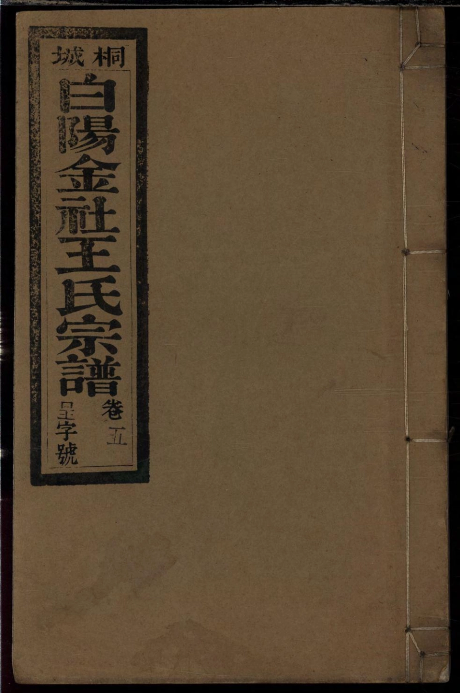 1104桐城白阳金社王氏宗谱_005.pdf_第1页
