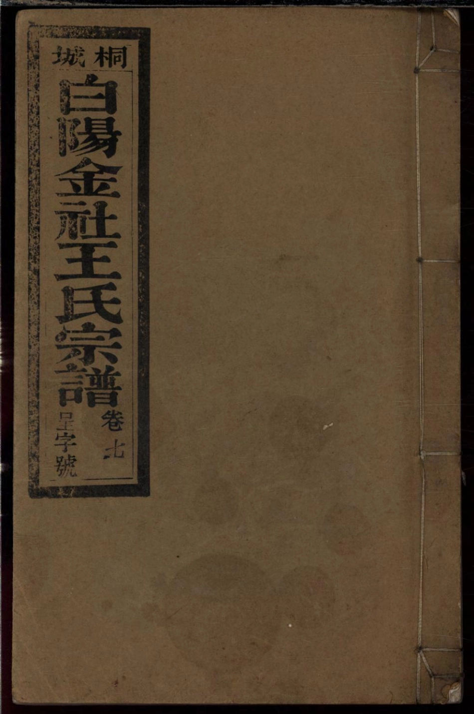 1104桐城白阳金社王氏宗谱_007.pdf_第1页
