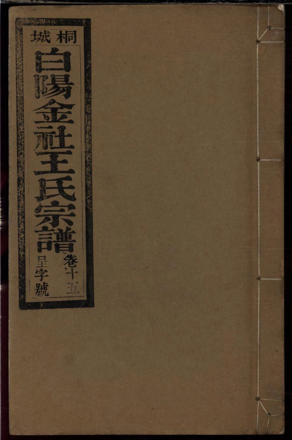 1104桐城白阳金社王氏宗谱_015.pdf_第1页