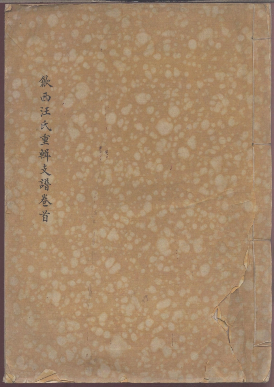 1161歙西汪氏重辑支谱_001.pdf_第1页