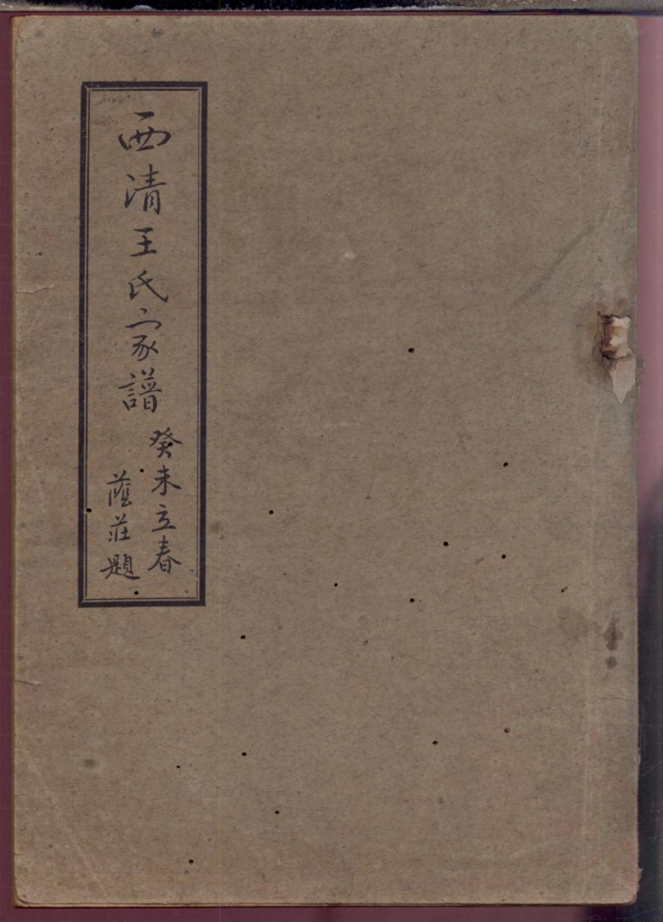 1263西清王氏家谱_001.pdf_第1页