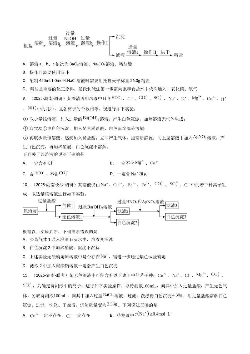 第03讲 离子共存、离子的检验与推断(专项训练)(湖南专用)(学生版).docx_第3页
